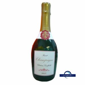 Location bouteille de champagne gonflable