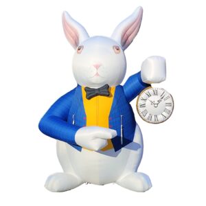 Location lapin du temps